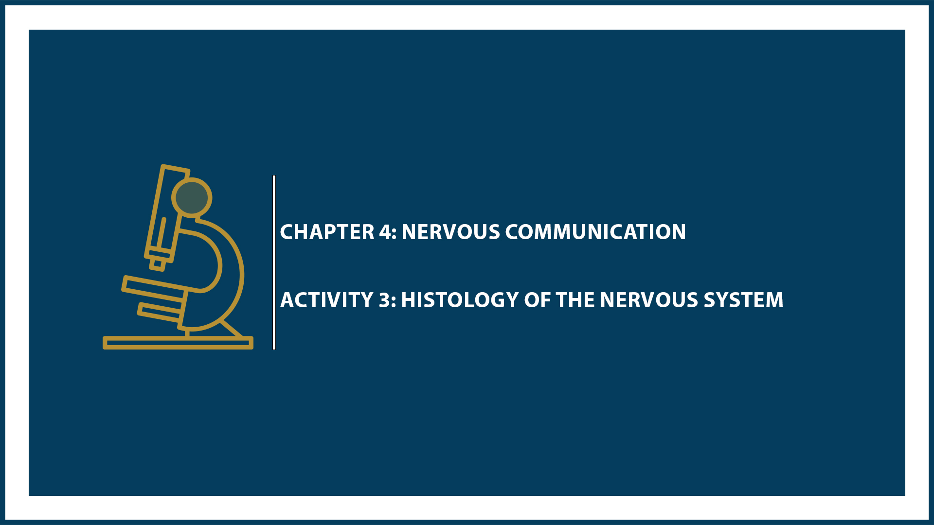 Chapter 4: Activity 3: Histology of the Nervous System